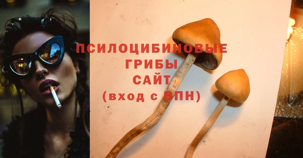 винт Армянск