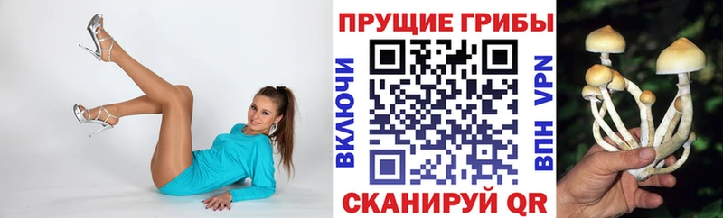 Псилоцибиновые грибы Magic Shrooms  купить наркотики цена  Знаменск 