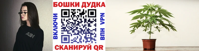 где купить   Знаменск  МАРИХУАНА Ganja 